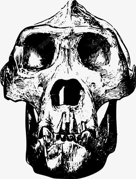 黑色简单猩猩动物骨头png免抠素材_新图网 https://ixintu.com 动物 猩猩 简单 骨头 黑色