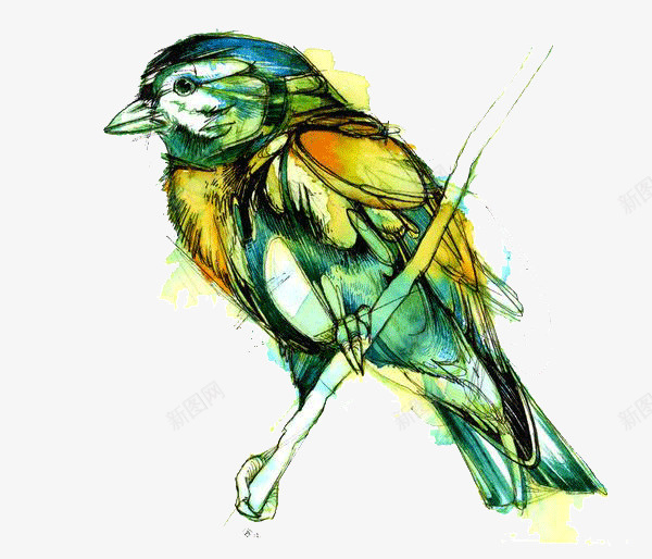 鸟水彩画png免抠素材_新图网 https://ixintu.com 创意 动物 彩绘 彩色 手绘 水彩画 鸟