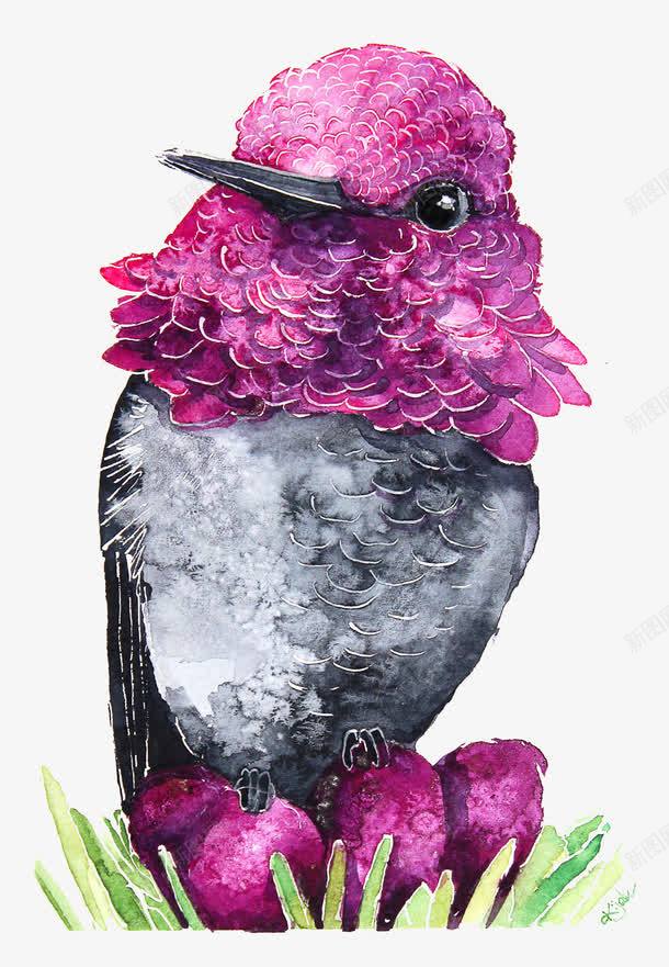 紫色的尖嘴鸟png免抠素材_新图网 https://ixintu.com 尖嘴鸟 紫色的鸟 鸟