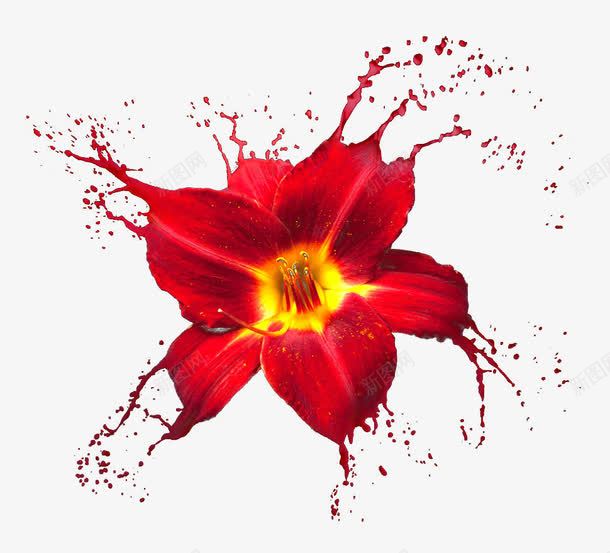 红色大气的花朵png免抠素材_新图网 https://ixintu.com 创意 大气 新鲜 水渍 红色 设计
