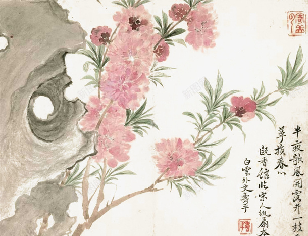 国画桃花png免抠素材_新图网 https://ixintu.com 中国画 古画 国画桃花 奇石 恽寿平 桃花 清 甌香館寫生冊