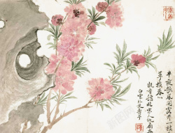 瓯香馆写生册国画桃花高清图片