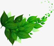 绿色树叶创意装饰艺术png免抠素材_新图网 https://ixintu.com 创意 树叶 绿色 艺术 装饰