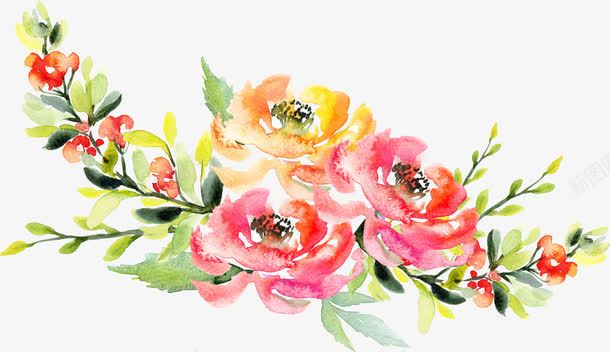 手绘鲜花png免抠素材_新图网 https://ixintu.com 手绘鲜花 森系花朵