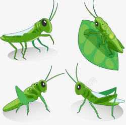 绿色害虫绿色蚂蚱矢量图高清图片