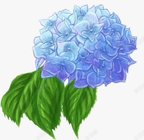 创意手绘水彩质感蓝色的花球png免抠素材_新图网 https://ixintu.com 创意 水彩 花球 蓝色 质感