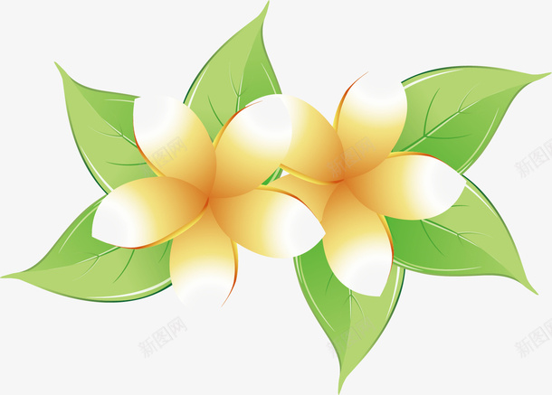 美丽的白花矢量图ai免抠素材_新图网 https://ixintu.com 卡通手绘 植物 绿色 美丽 芬芳 香气 矢量图