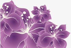 紫色的花儿素材