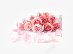 粉色玫瑰花朵礼物素材