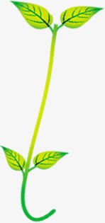 创意手绘质感植物小树苗png免抠素材_新图网 https://ixintu.com 创意 树苗 植物 质感