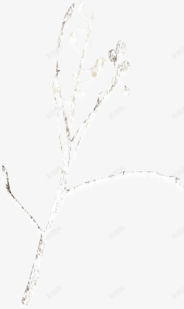 飘雪花朵树枝png免抠素材_新图网 https://ixintu.com 免费png素材 树枝 白色 花朵 装饰图案 飘雪
