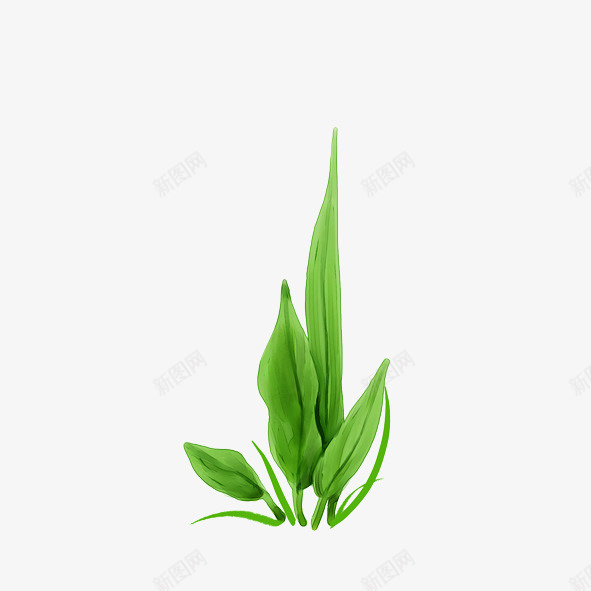 绿色小草png免抠素材_新图网 https://ixintu.com 绿色小草长叶草