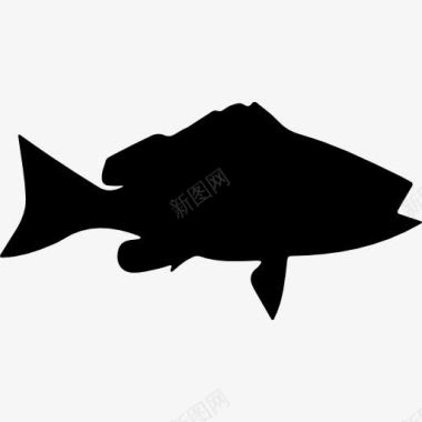 鱼形Blackfin鲷鱼图标图标