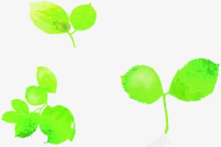 绿色卡通春天树叶手绘素材
