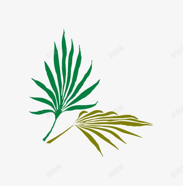 棕榈叶装饰图案png免抠素材_新图网 https://ixintu.com 树叶 棕榈叶 植物 装饰图案