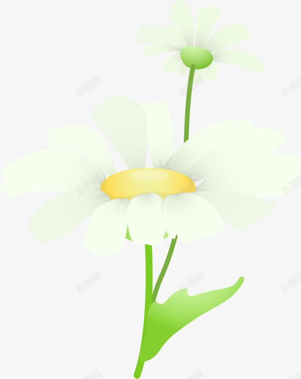 摄影风景白色花朵效果png免抠素材_新图网 https://ixintu.com 摄影 效果 白色 花朵 风景