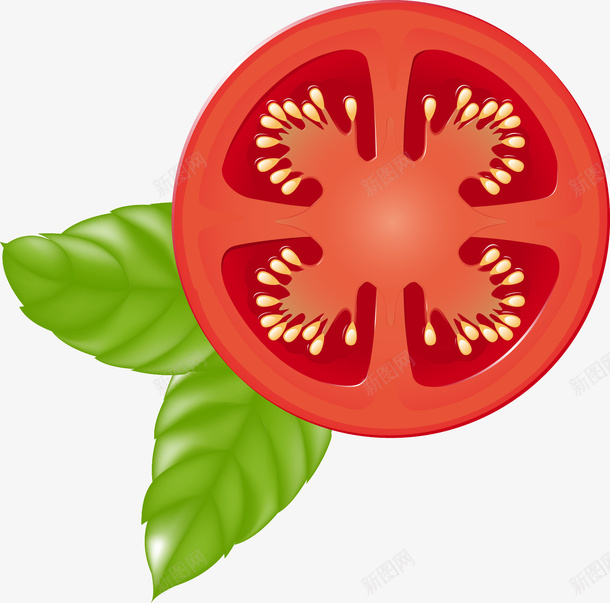 蔬菜西红柿矢量图ai免抠素材_新图网 https://ixintu.com 水果 番茄 蔬菜 西红柿 矢量图