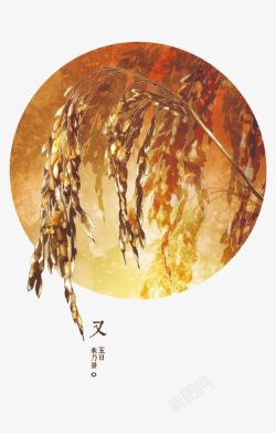 二十四节气之七十二候素材