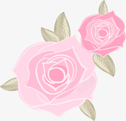 2朵粉色玫瑰花素材