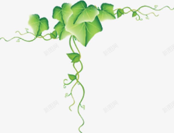 绿色手绘创意树叶装饰png免抠素材_新图网 https://ixintu.com 创意 树叶 绿色 装饰