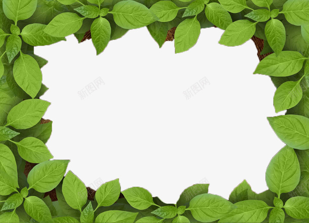 绿叶装饰相框png免抠素材_新图网 https://ixintu.com 叶子 植物 相框 绿色的