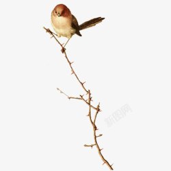 叠扇树枝上的燕子高清图片
