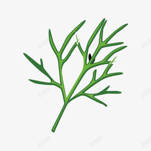 配菜png免抠素材_新图网 https://ixintu.com 迷迭香 配菜