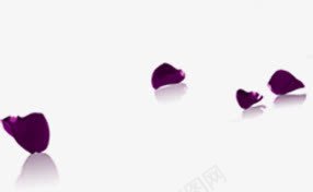 紫色卡通唯美花瓣png免抠素材_新图网 https://ixintu.com 卡通 紫色 花瓣