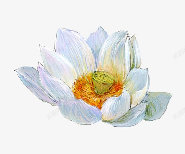 白色手绘水墨荷png免抠素材_新图网 https://ixintu.com 手绘 植物 水墨荷 白色 花卉 荷花