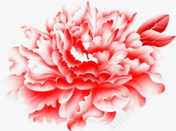 娇艳欲滴的花朵娇艳欲滴的红色花朵高清图片