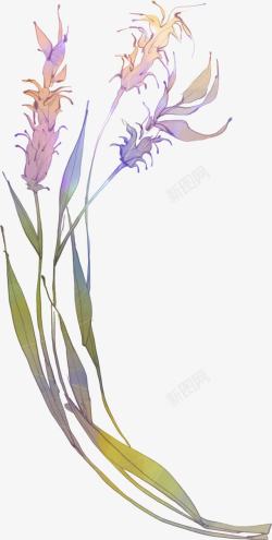 手绘紫色化妆品植物装饰素材