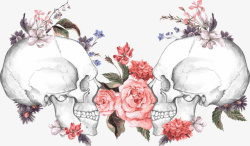玫瑰花与骷髅矢量图素材