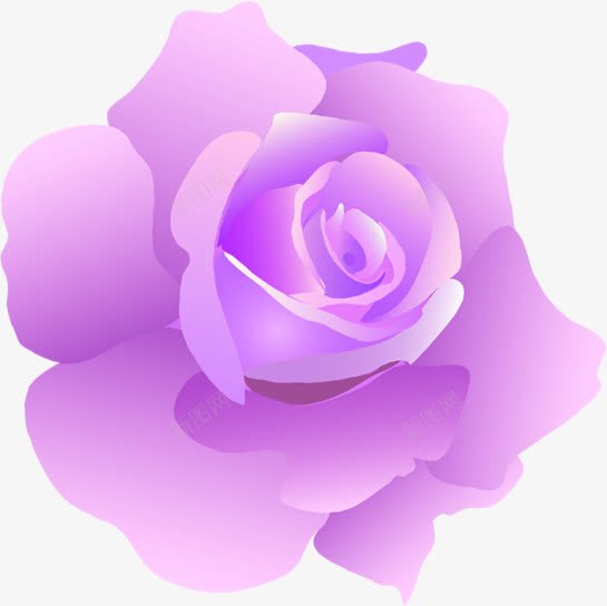 紫色卡通玫瑰花朵png免抠素材_新图网 https://ixintu.com 卡通 玫瑰 紫色 花朵