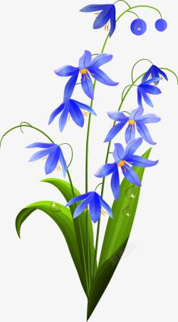 蓝色花朵唯美植物素材