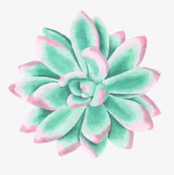 手绘水彩绘画立体墨绿花卉素材