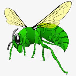 动物大黄蜂openicon图标图标