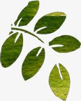 创意手绘合成绿色的树叶效果植物png免抠素材_新图网 https://ixintu.com 创意 合成 效果 树叶 植物 绿色