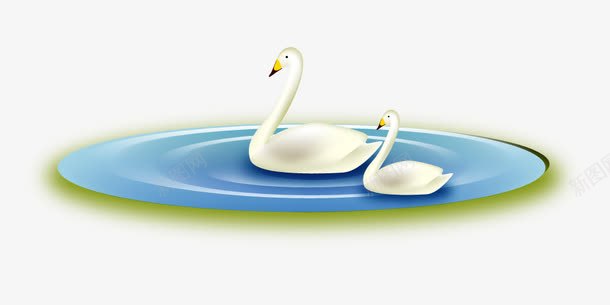 水中的天鹅png免抠素材_新图网 https://ixintu.com 创意 动物 天鹅 手绘 拟物化