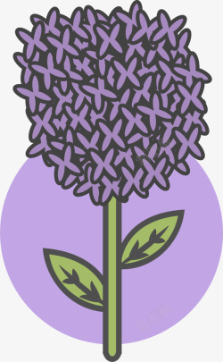 紫色卡通春季薰衣草素材