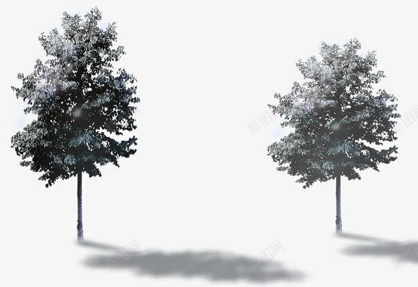 创意摄影合成画外的树木环境渲染png免抠素材_新图网 https://ixintu.com 创意 合成 摄影 树木 渲染 环境 画外