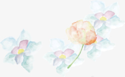 彩色透明水彩花卉素材