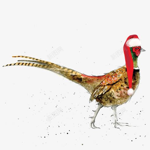 带圣诞帽野鸡png免抠素材_新图网 https://ixintu.com 动物 圣诞帽 手绘 野鸡