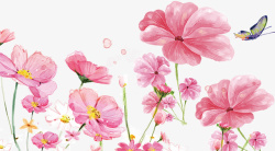 春天粉色水彩花朵素材