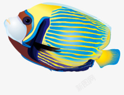 彩色的鱼矢量图素材