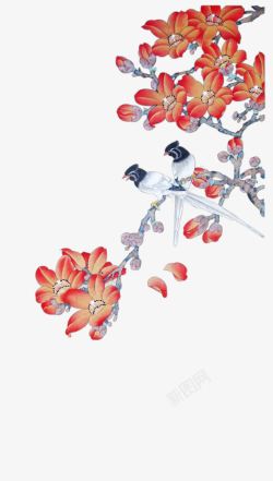 摄影水彩手绘合成花卉素材