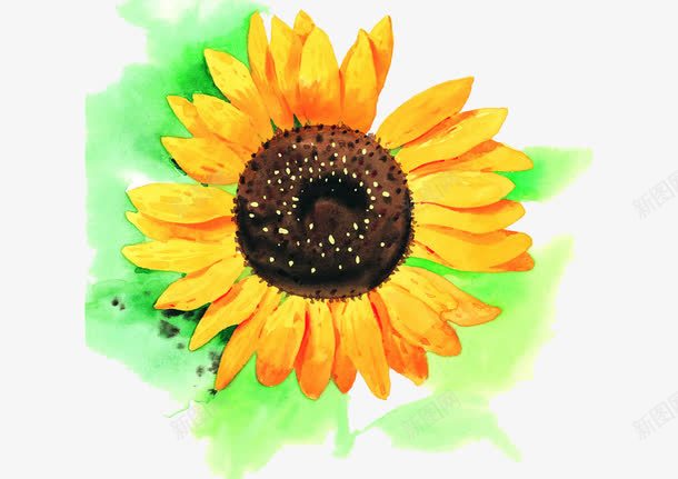 一朵手绘向日葵png免抠素材_新图网 https://ixintu.com 一朵花 向日葵 手绘 花朵