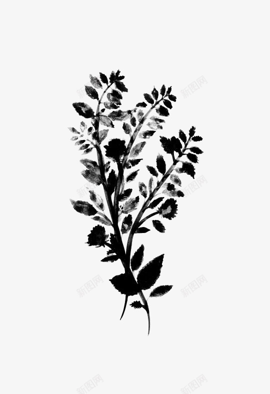 黑色叶子png免抠素材_新图网 https://ixintu.com 创意 叶子 植物 花朵 黑色