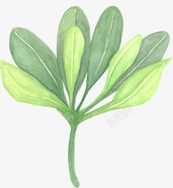 绿色手绘植物装饰素材