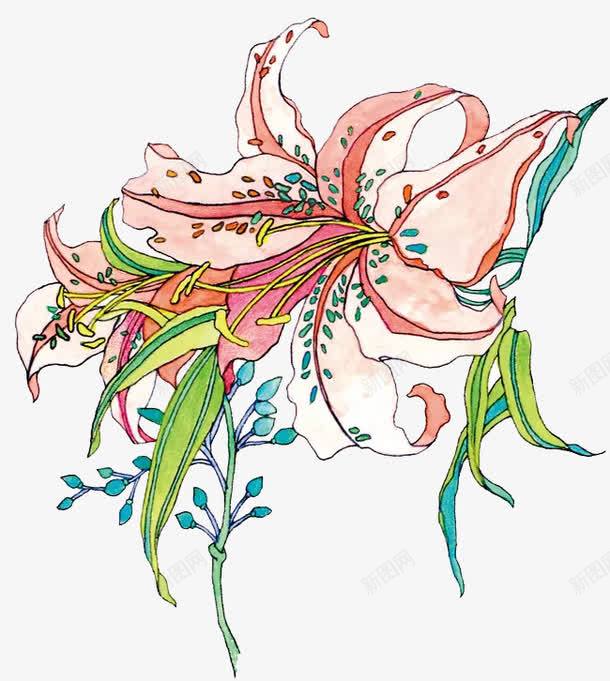 手绘栀子花png免抠素材_新图网 https://ixintu.com 免扣 小清新 手绘 手绘栀子花 栀子花 植物 粉色 装饰