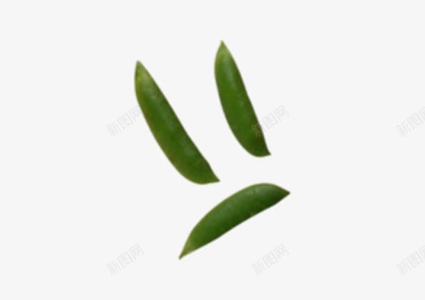 绿色豆角png免抠素材_新图网 https://ixintu.com 绿色 蔬菜 豆角 食材